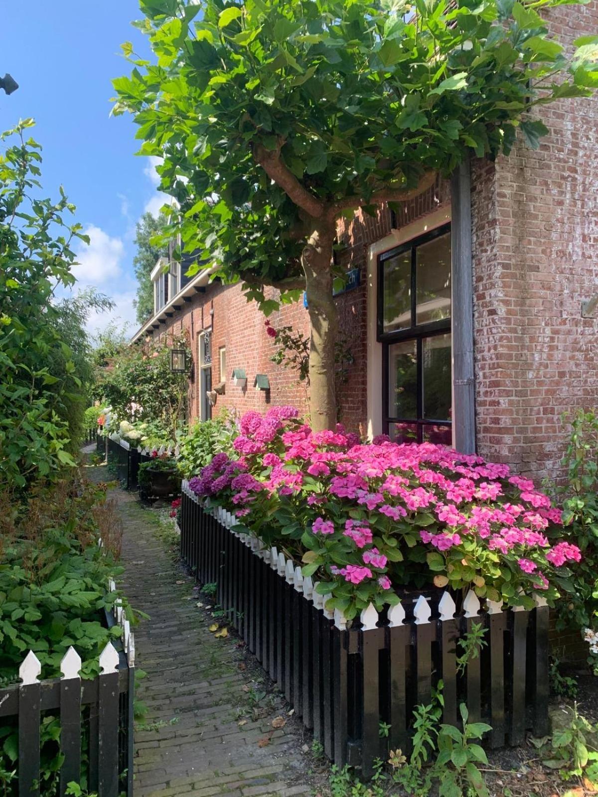 Apartmán "Het Steechje" In Ie Bij Schiermonnikoog En Ameland Ee Exteriér fotografie