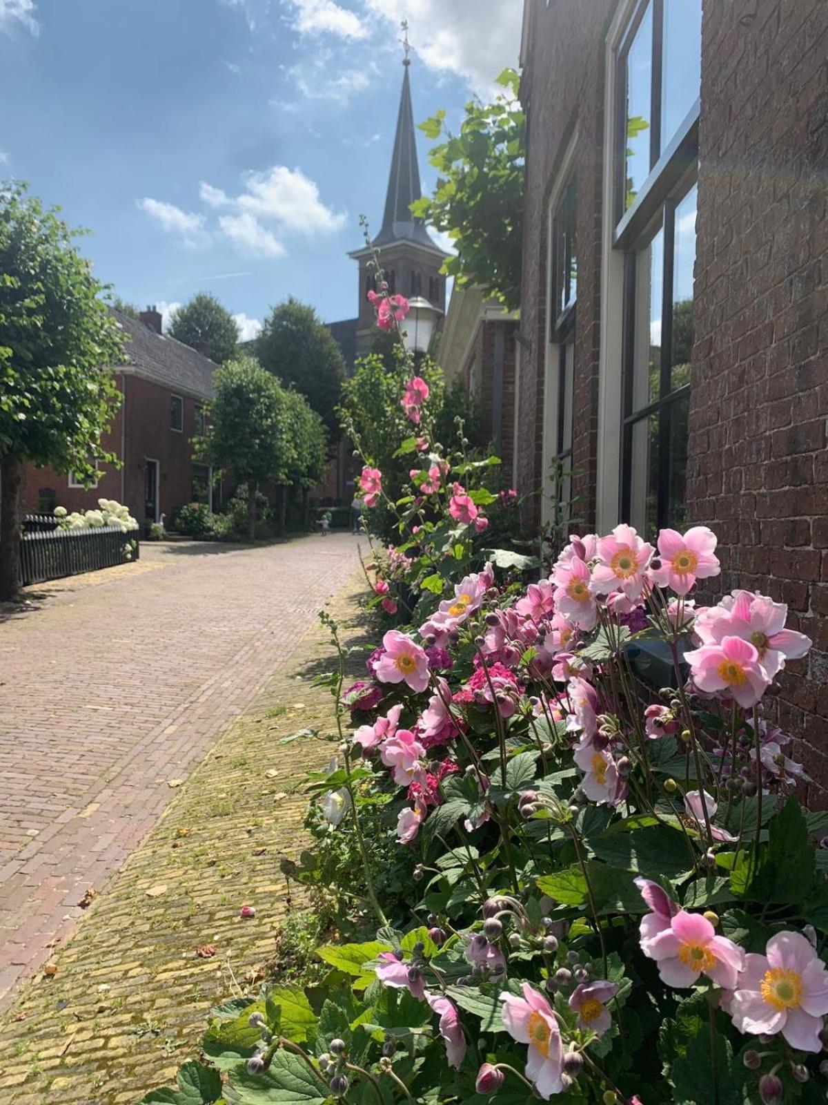 Apartmán "Het Steechje" In Ie Bij Schiermonnikoog En Ameland Ee Exteriér fotografie
